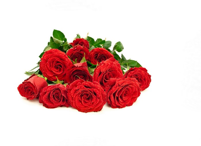 Bouquet of Red Roses with Water Droplets