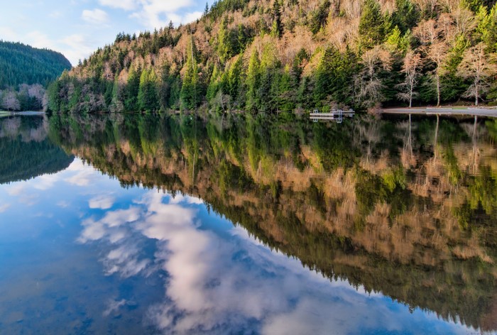 Forest reflection on a calm lake in Alice Provincial Park