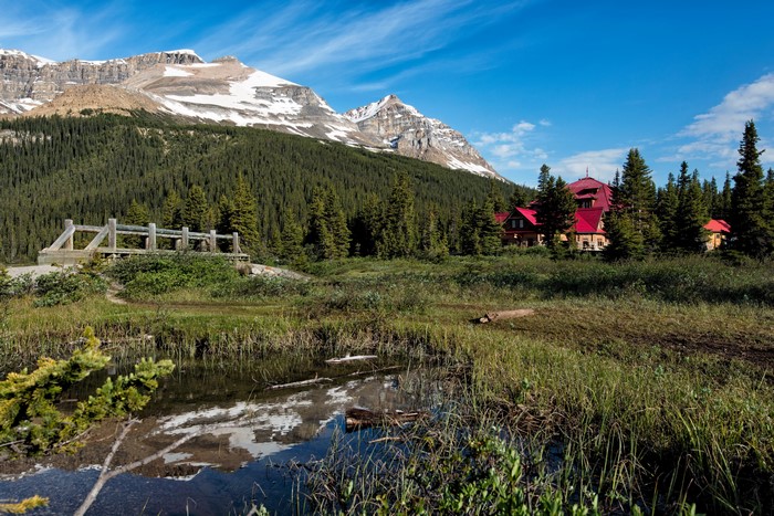 Banff National Park Canada Mountains Forest Scenery