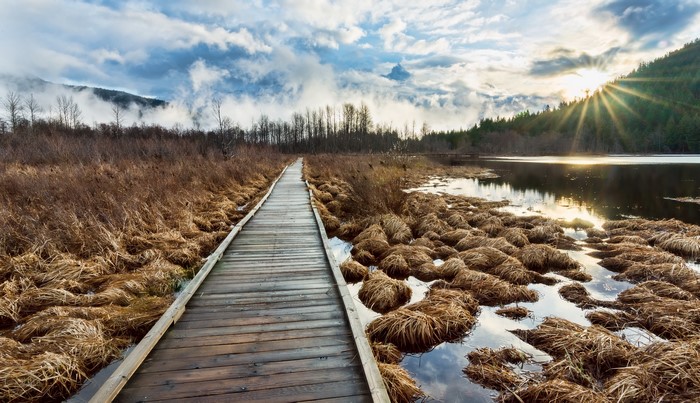 Wooden boardwalk through marshland with sun rays over lake