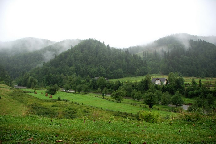 Misty Mountains and Green Valley in Ukraine