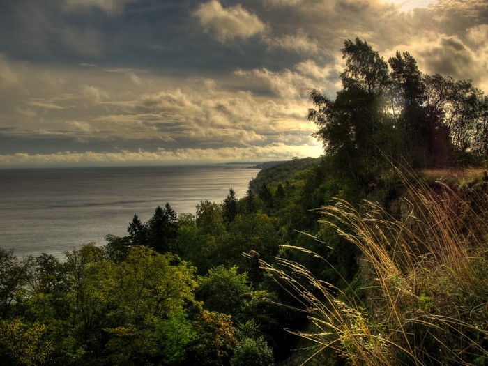 Overlooking a vast body of water with a forest and dramatic sky
