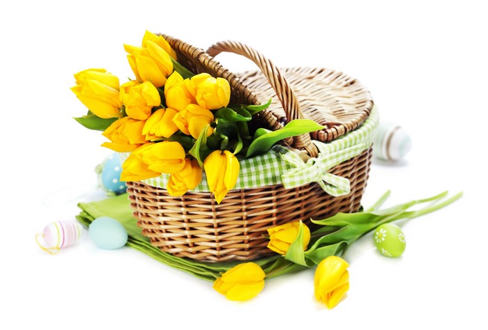 Yellow tulips in a wicker basket with Easter eggs