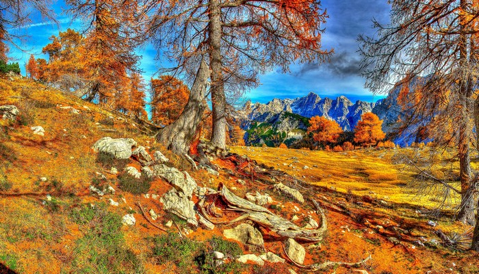 Autumn mountain landscape in Slovenia with trees and rocks