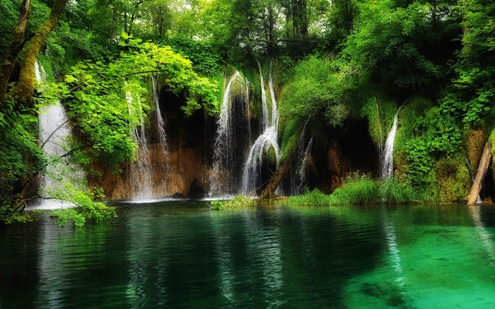 Waterfalls cascading into a clear green lake in a forest
