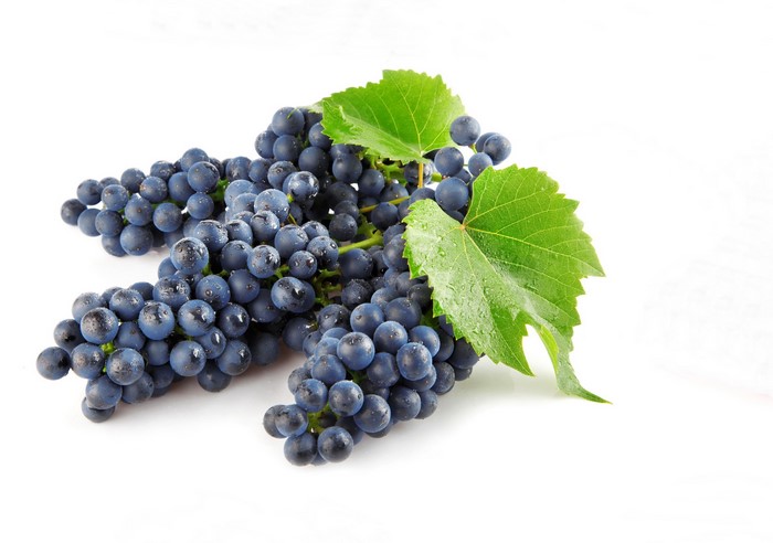 Dark Grapes with Green Leaves
