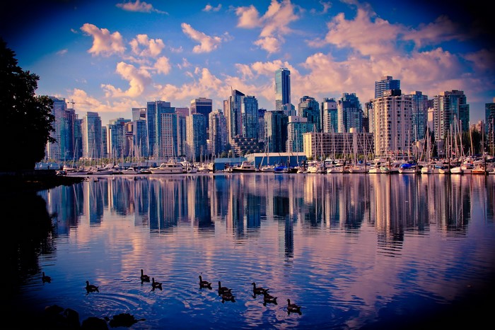 Vancouver Skyline and Harbor with Geese