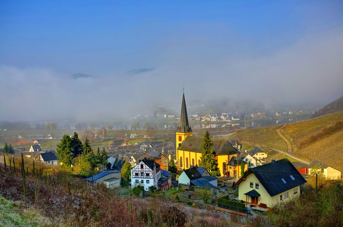 Village with church and vineyards in fog, Germany