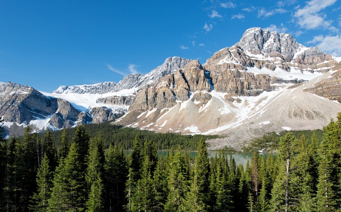 Snow-capped mountains and pine forest in Banff National Park, Canada