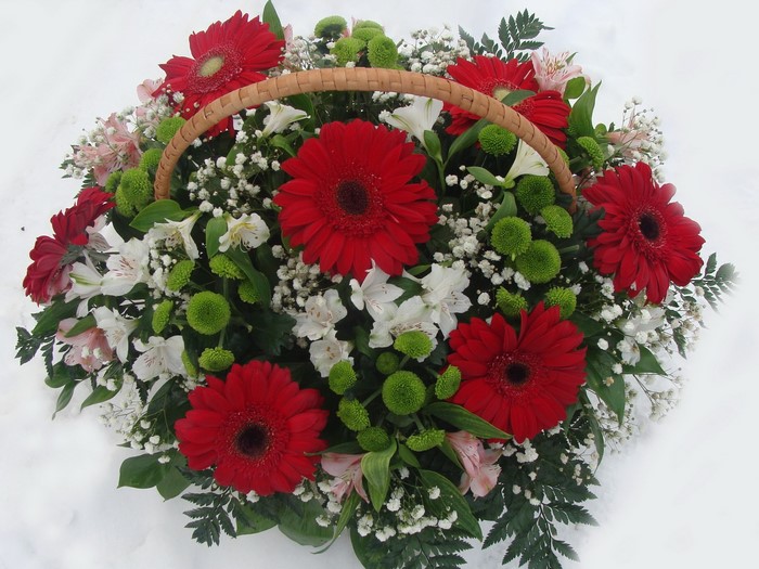 Red Gerbera Daisy Flower Arrangement in Basket
