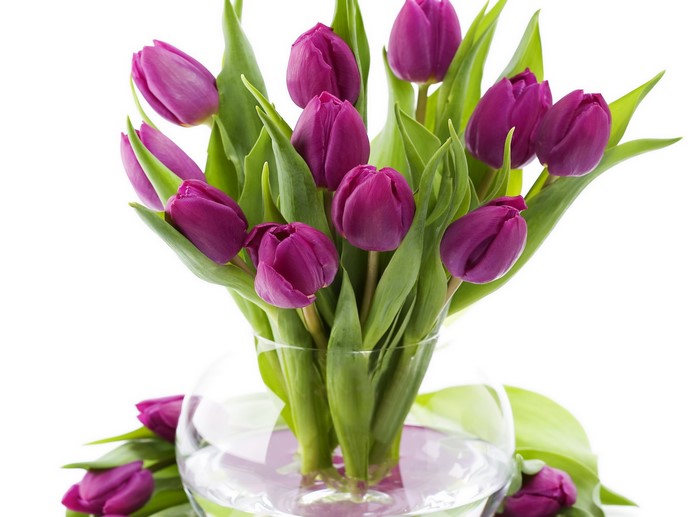 Purple Tulips in a Glass Vase