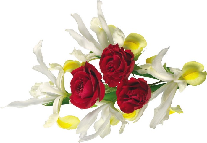 Red Roses and White Irises Bouquet
