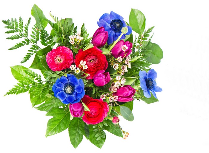 Bouquet of red, pink, and blue flowers