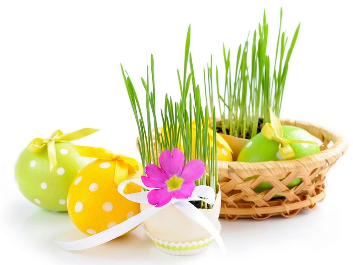 Easter eggs with grass and flowers