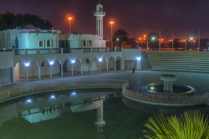 Doha Qatar Night Scene with Mosque and Fountain