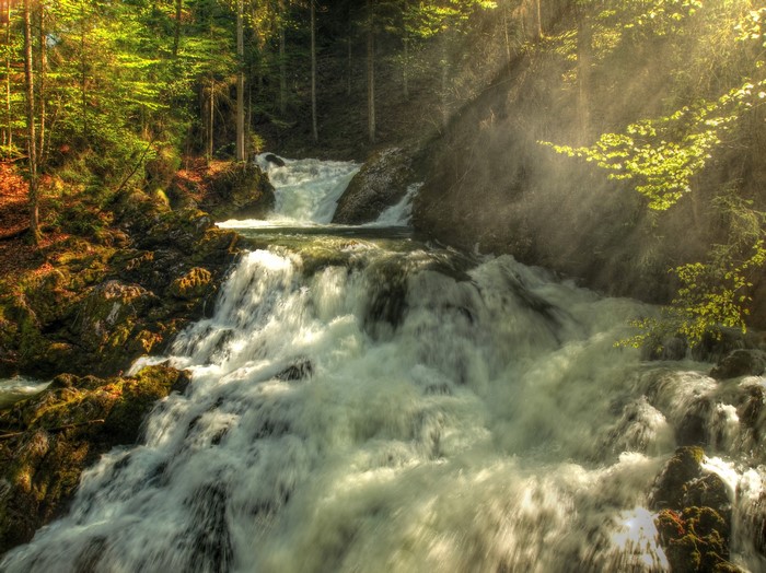 Waterfalls flowing through a sunlit forest