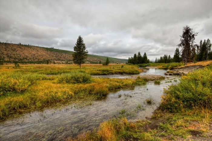 Yellowstone National Park River and Meadow