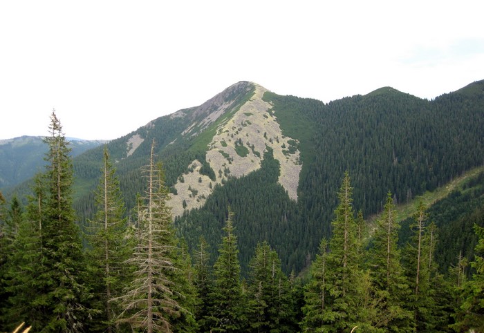 Mountains and forests in the Carpathians, Ukraine