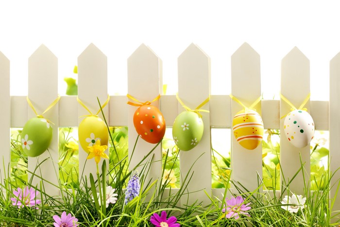 Easter eggs hanging on a white picket fence with grass and flowers