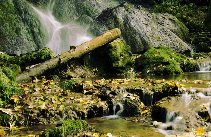 Waterfall with Fallen Autumn Leaves and Mossy Rocks