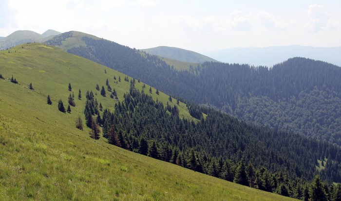 Mountains and forests in Zakarpattia, Ukraine