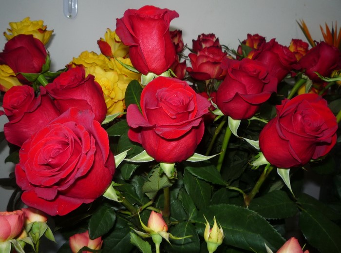 Bouquet of red and yellow roses
