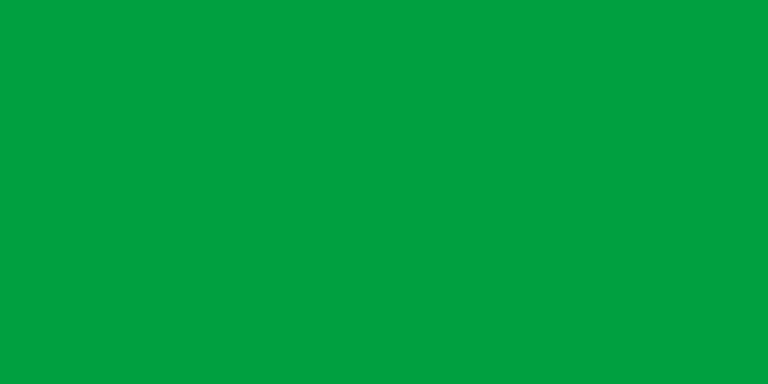 Flag of the Great Socialist People Libyan Arab Jamahiriya