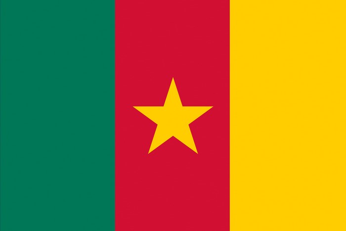Cameroon Flag