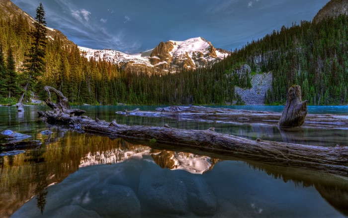 Lake with Mountains and Forest in Canada