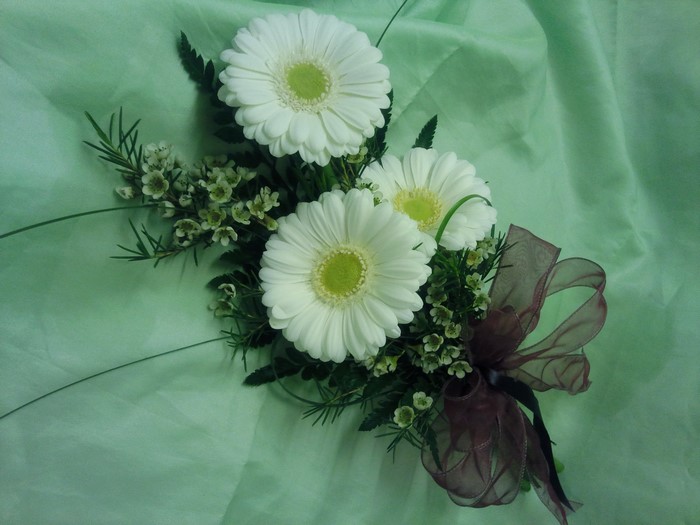 White Gerbera Daisy Bouquet with Ribbon