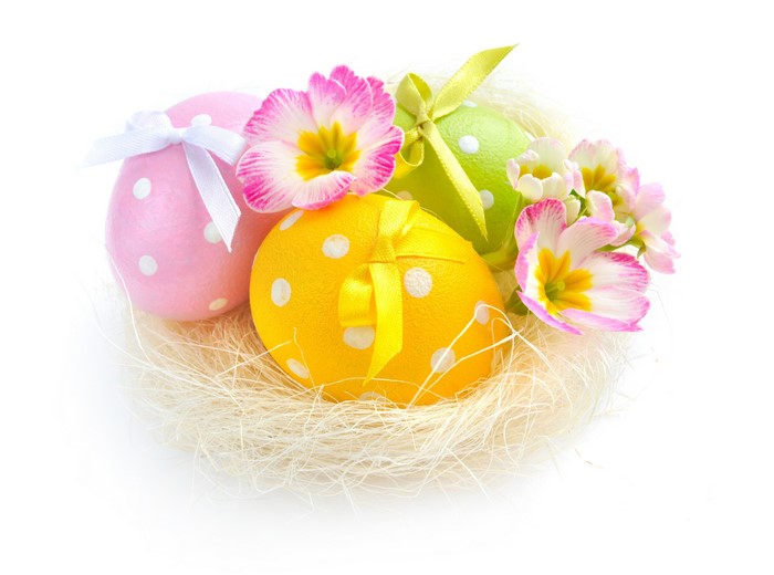 Easter eggs in a nest with flowers