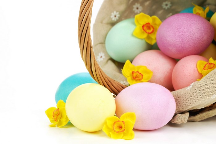 Easter eggs in a wicker basket with daffodils