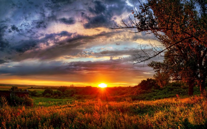 Sunset over a grassy field with dramatic clouds