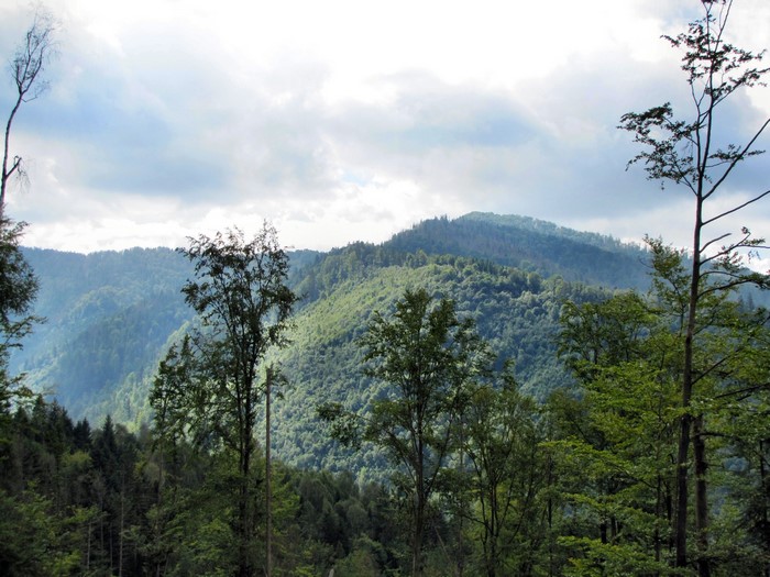 Mountainous Scenery in Zakarpattia, Ukraine