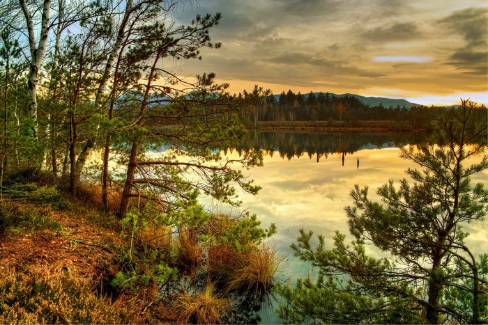 Lake reflection with trees and mountains in Austria