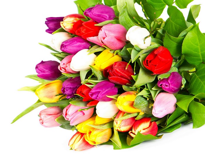 4K Tulips Bouquets