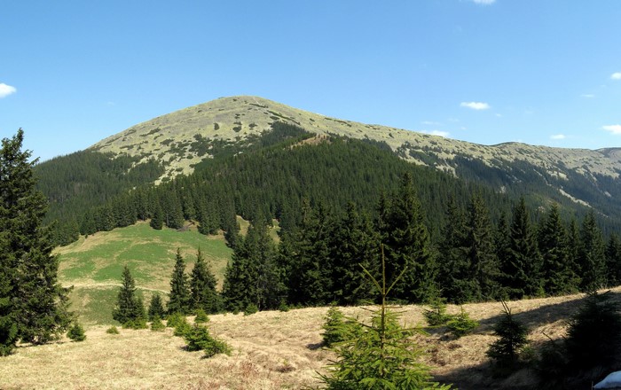 Mountains and forest in the Carpathians, Ukraine