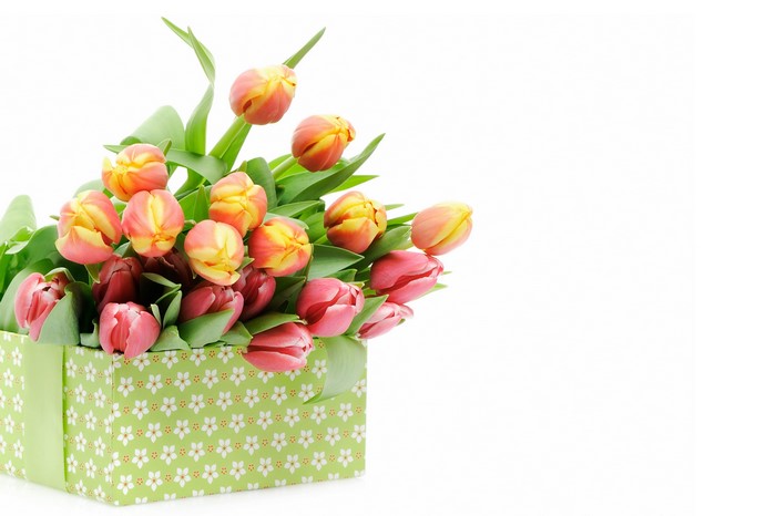 Tulips in a patterned box