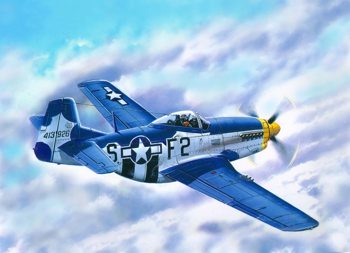 P-51D-15 Airplane in Flight