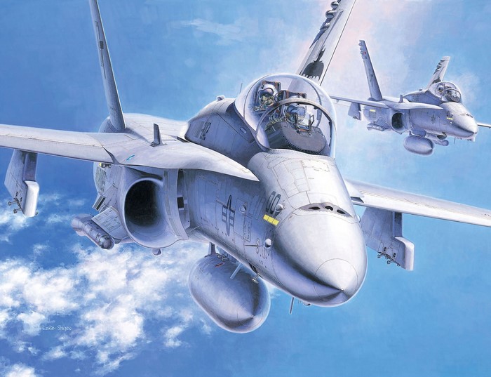 Two Fighter Jets in Flight