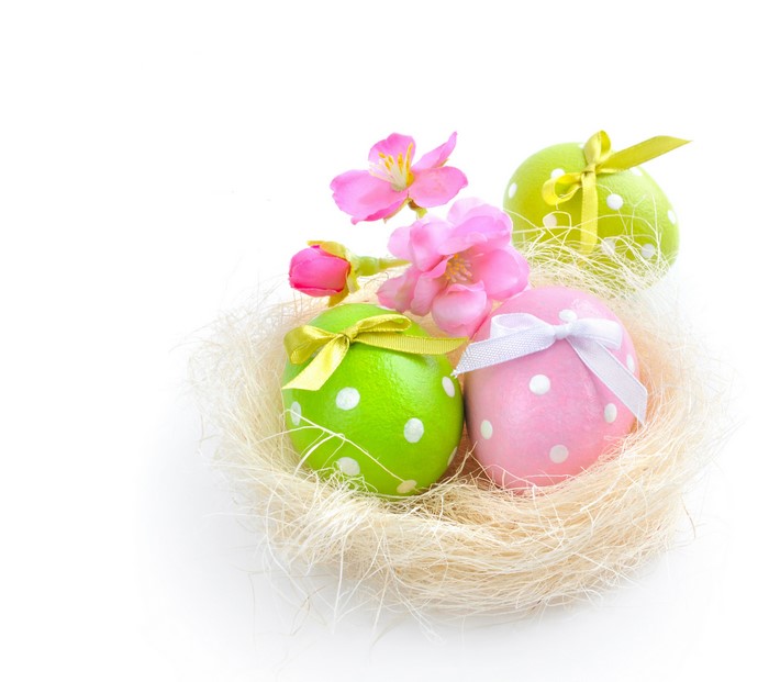 Easter Eggs in a Nest with Flowers