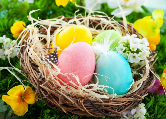 Easter eggs in a nest with flowers