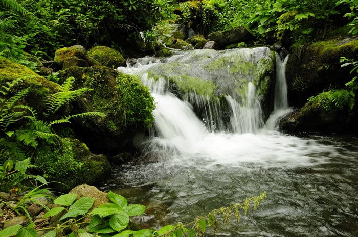 Waterfall in Mtirala National Park, Adjara, Georgia