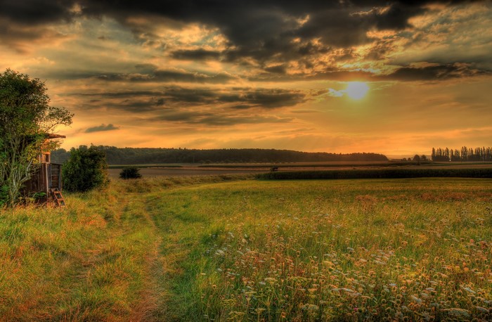 Sunset over a German meadow with a hunting stand