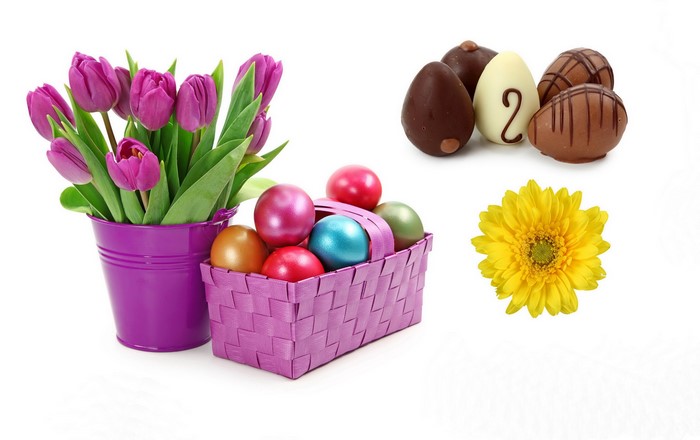 Easter Tulips, Chocolate Eggs, and a Yellow Flower