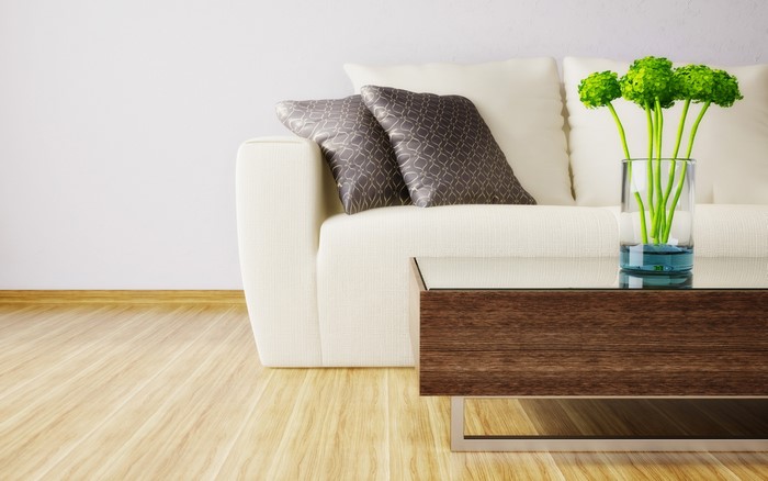 Living room with sofa, pillows, and vase