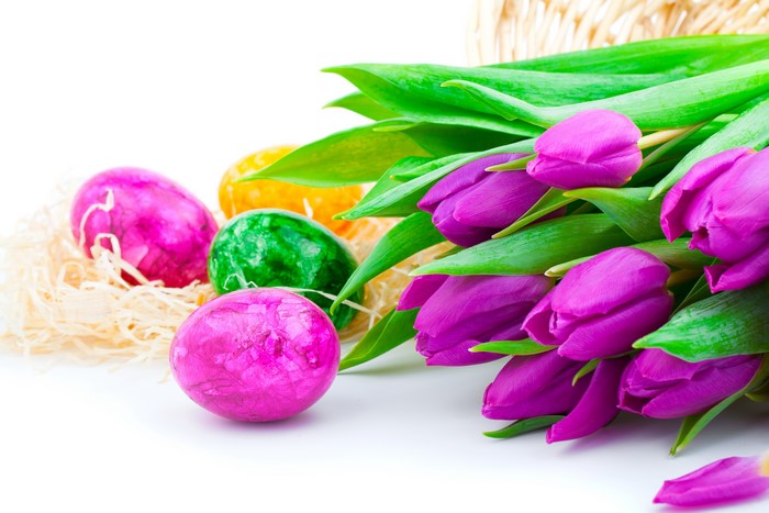 Easter Tulips and Eggs