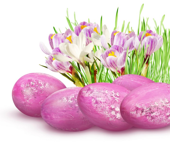 Easter Crocuses and Pink Eggs