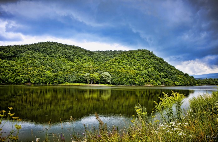 Lake and forest scenery in Hungary