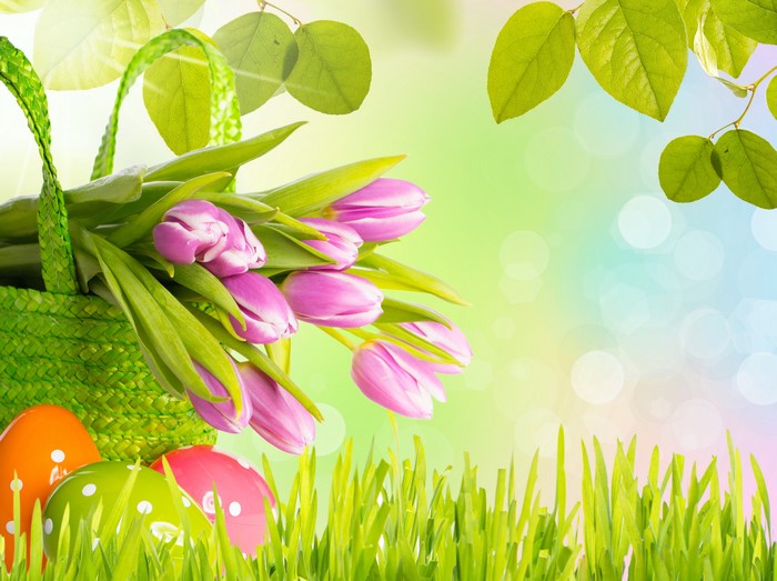 Easter Tulips and Eggs in a Basket